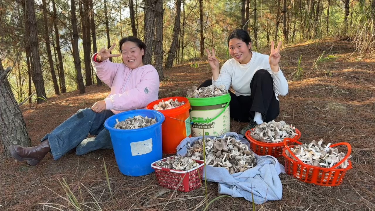住在物产丰富的农村太幸福了，随时都有吃不完的菌子，漫山遍野捡到不想捡