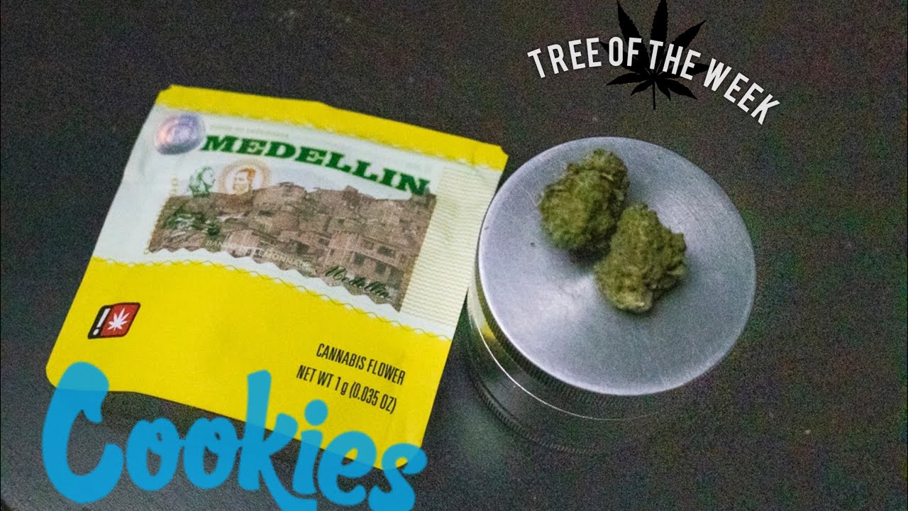 Medellin by Cookies (Cannabis Strain) Review