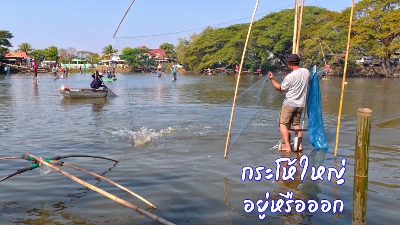 ใหญ่ๆทั้งนั้นปลา2ปี บ.หนองหลวง อ.สว่างแดนดิน จ.สกลนคร บัตร300บ.คุ้มสุดคุ้ม / ตุ้มแพรว พาเพลิน EP.918