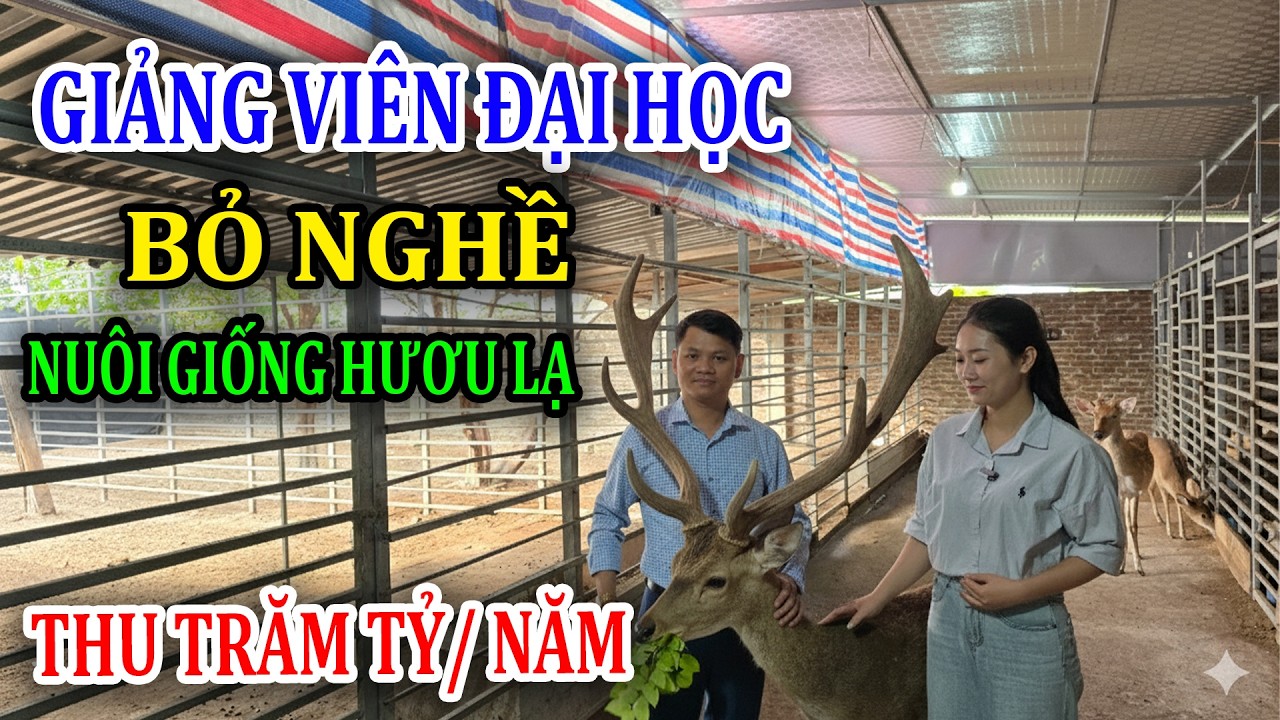 Giảng Viên Đại Học Bỏ Nghề Tay Trắng Về Nuôi Giống Hươu Lạ,Thu Nhập Trăm Tỷ/Năm- Trại Hươu Miền Bắc
