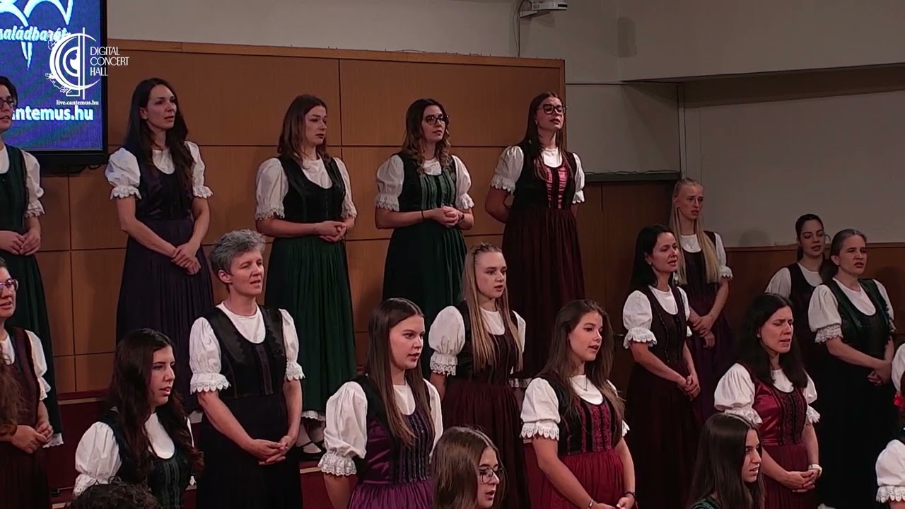 Béla Bartók  : Párnás táncdal