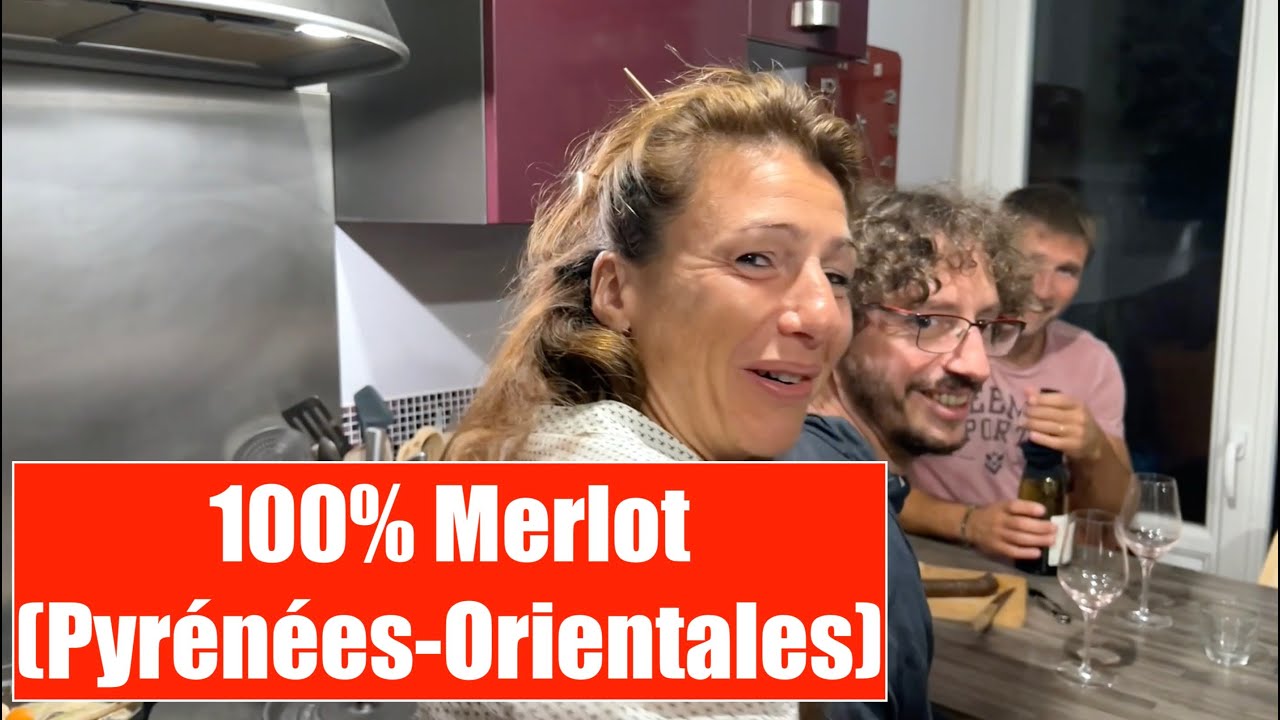 Dégustation vin - Merlot - P'tit Piaf - Domaine de l'Ausseil - Dégustation à l'aveugle