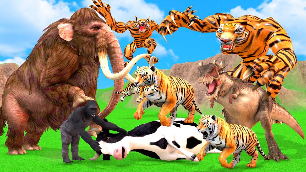 Giant Tiger wolf Attacks Dinosaur Chase Cow Cartoon Buffalo Gorilla Saved By Woolly Mammoth Elephant
