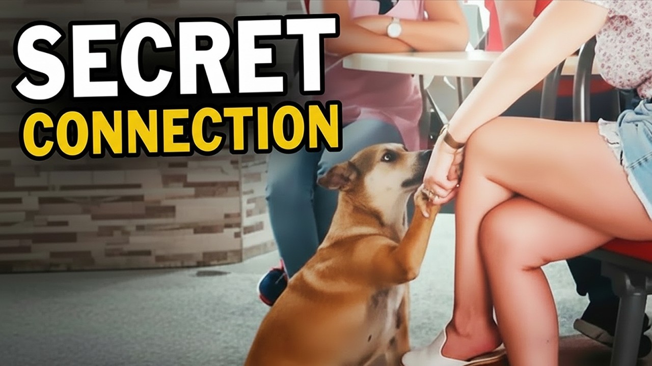 Dogs Love Their Owners (And It Shows in the Sweetest Ways)