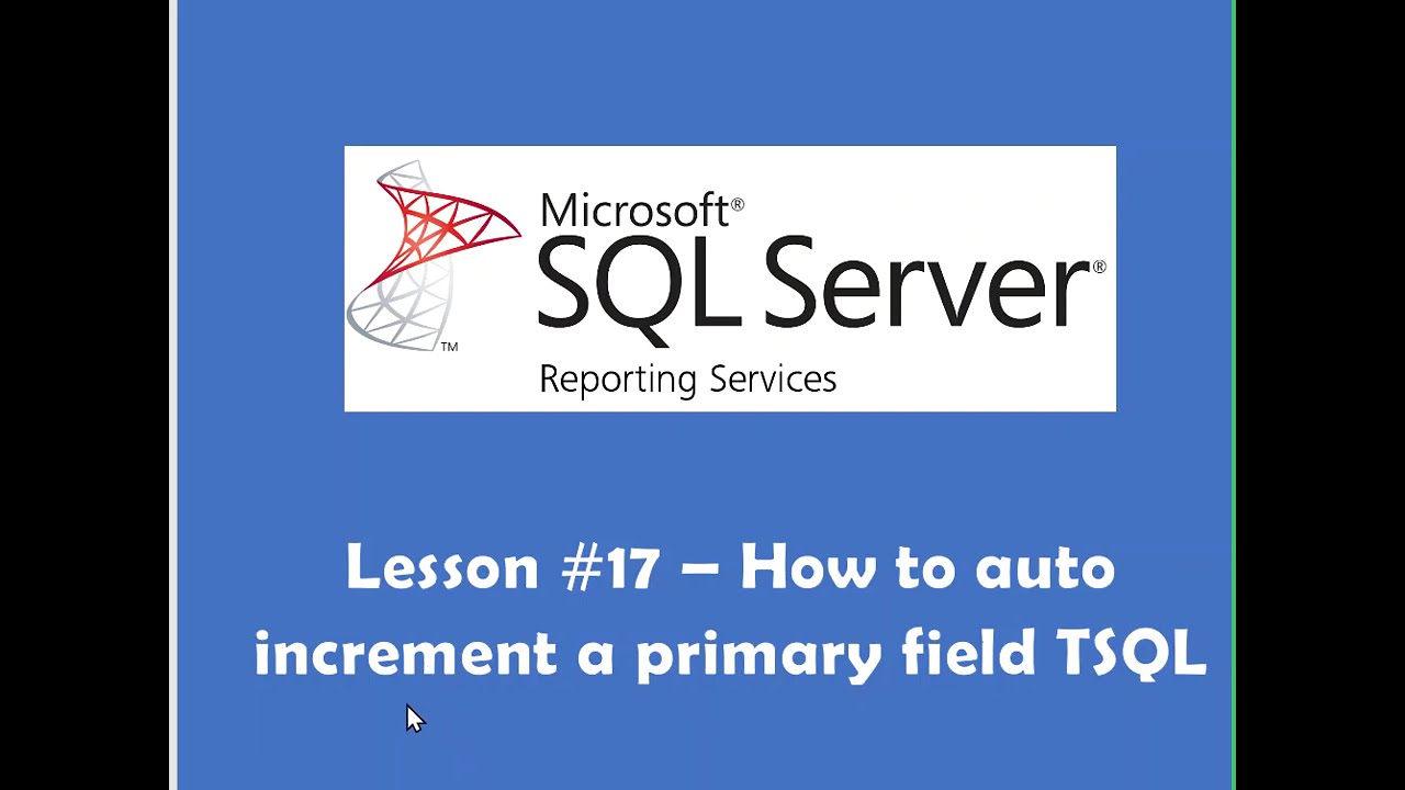 Lesson #17 &ndash; How to auto increment a primary field TSQL