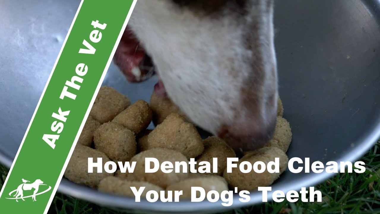 How Dental Food Cleans Your Dog's Teeth- Companion Animal Vets