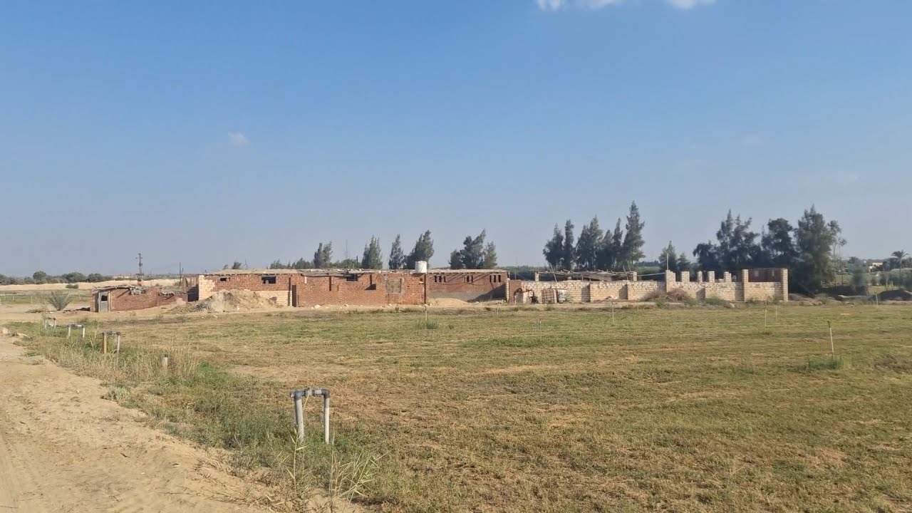 مزرعة 25 فدان للايجار انتاج حيواني و محاصيل و شجر في وادي النطرون طريق مصر اسكندرية الصحراوي