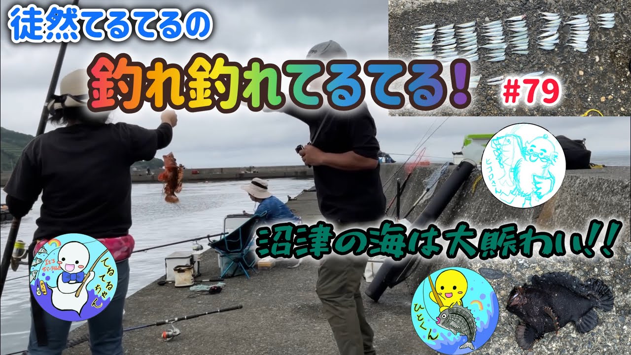 静岡県沼津市足保港⚓️沼津の海は大賑わい‼️投げサビキの熱い季節が来てるね☀️【5月】