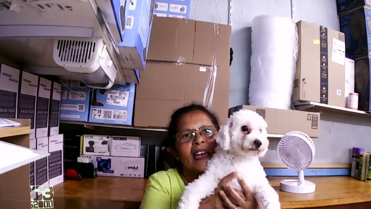 LIVE de Segunda Feira