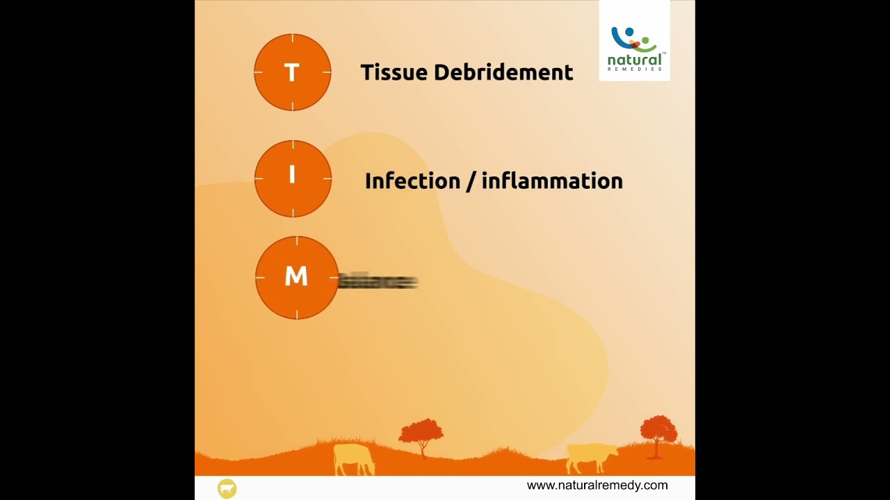 Natural Remedies | Cattle Care | Cattle Health | Wound Healing | Spray | Ruminants | Topicure++
