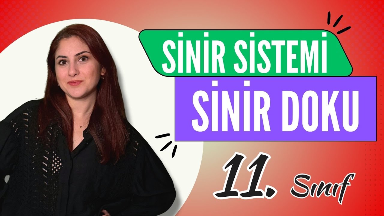 1) SİNİR SİSTEMİ (SİNİR DOKU) | 11. SINIF | AYT BİYOLOJİ DERS NOTLARI | 2024