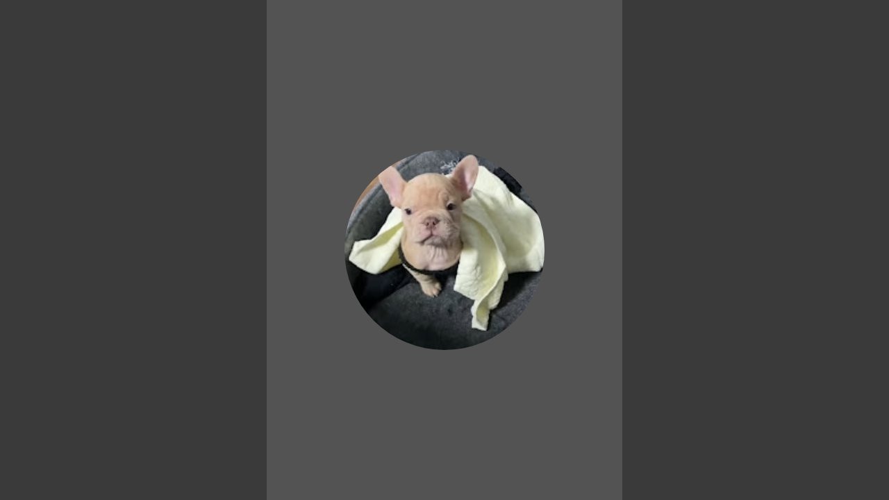 Forddude1276   is live!
