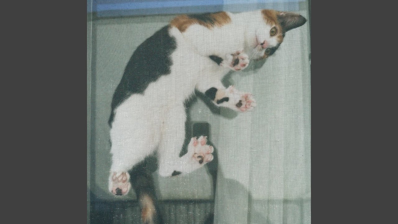 Yuki