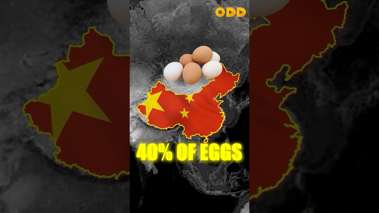 Why Egg price is rising? #egg #eggproduction #startup