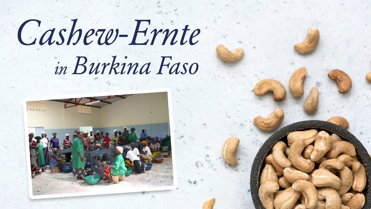 bioladen Cashews: Ernte und Verarbeitung bei der Frauenkooperative in Burkina Faso, Afrika
