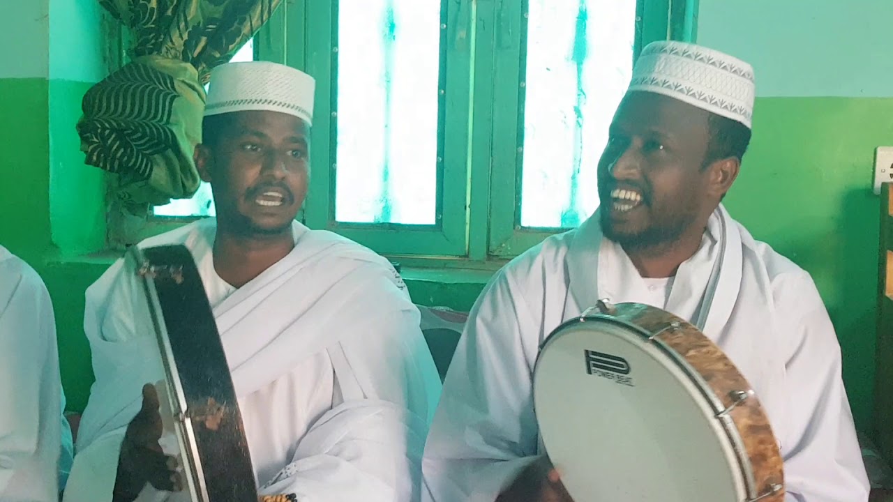 أبناء الشيخ كمال الدين _ كابتن بنات الريح محمود الضعيف