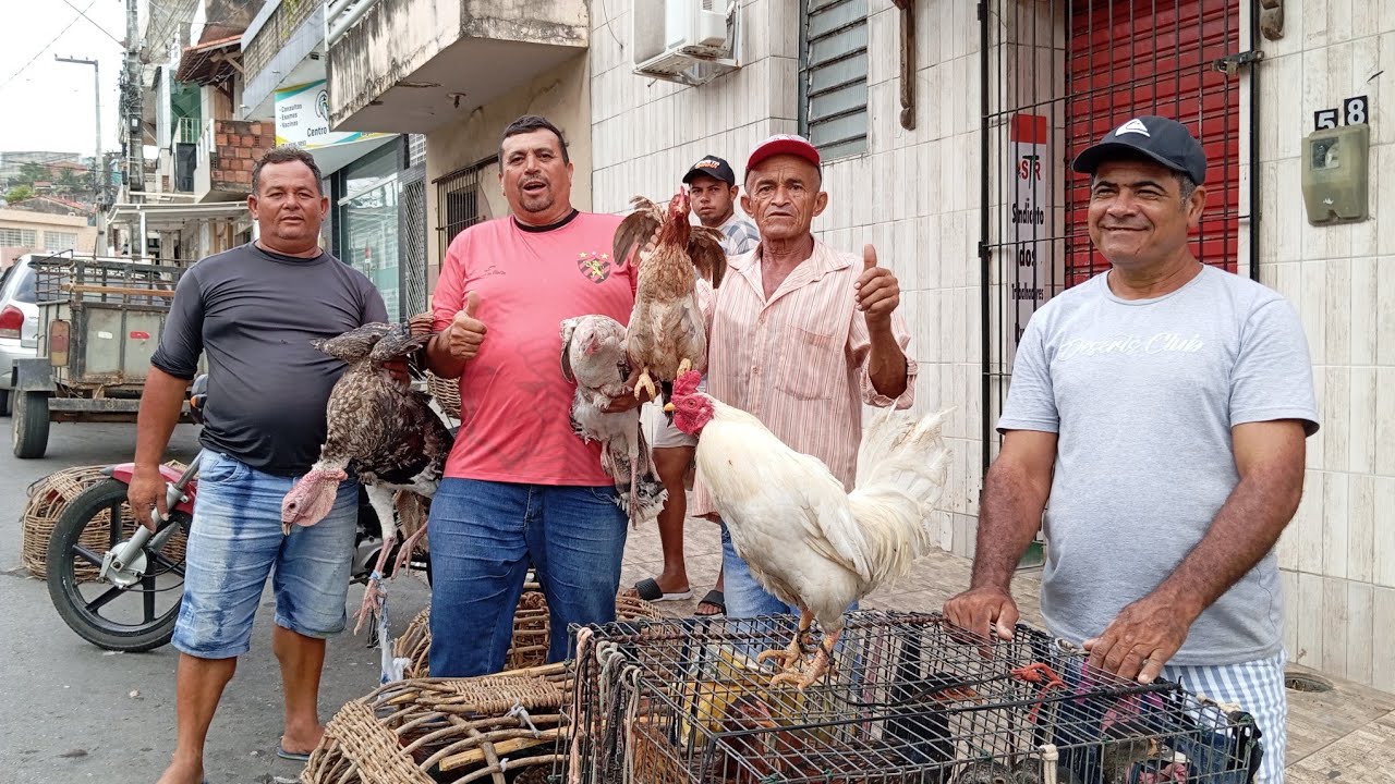 NA FEIRA DAS GALINHAS CAIPIRA LIMOEIRO PERNAMBUCO 28 DE JANEIRO 2026