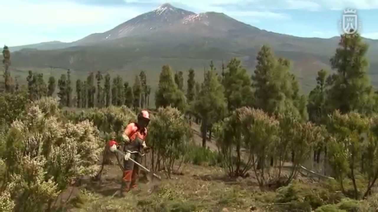 Biodiversidad de Tenerife. 21/03/2015