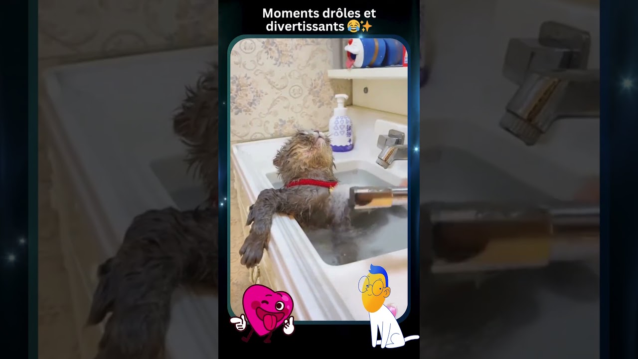 #shorts Fails ridicules, r&eacute;actions absurdes, d&eacute;fis hilarants, vid&eacute;os marrantes 😂🔥 #Dr&ocirc;le #Marrant