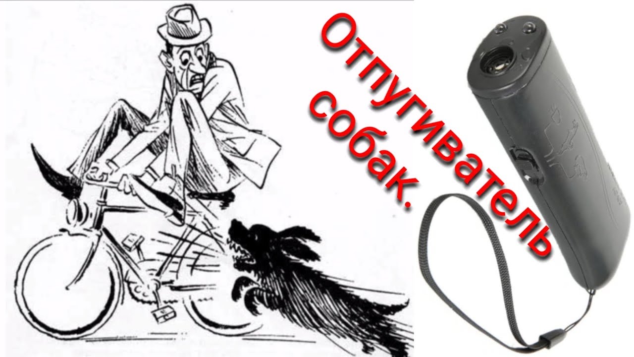 Отпугиватель собак.