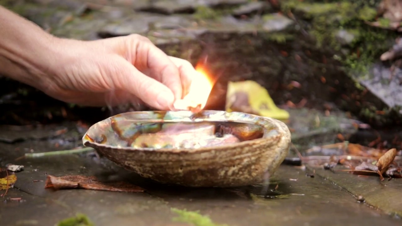 Tribe of Love  - 