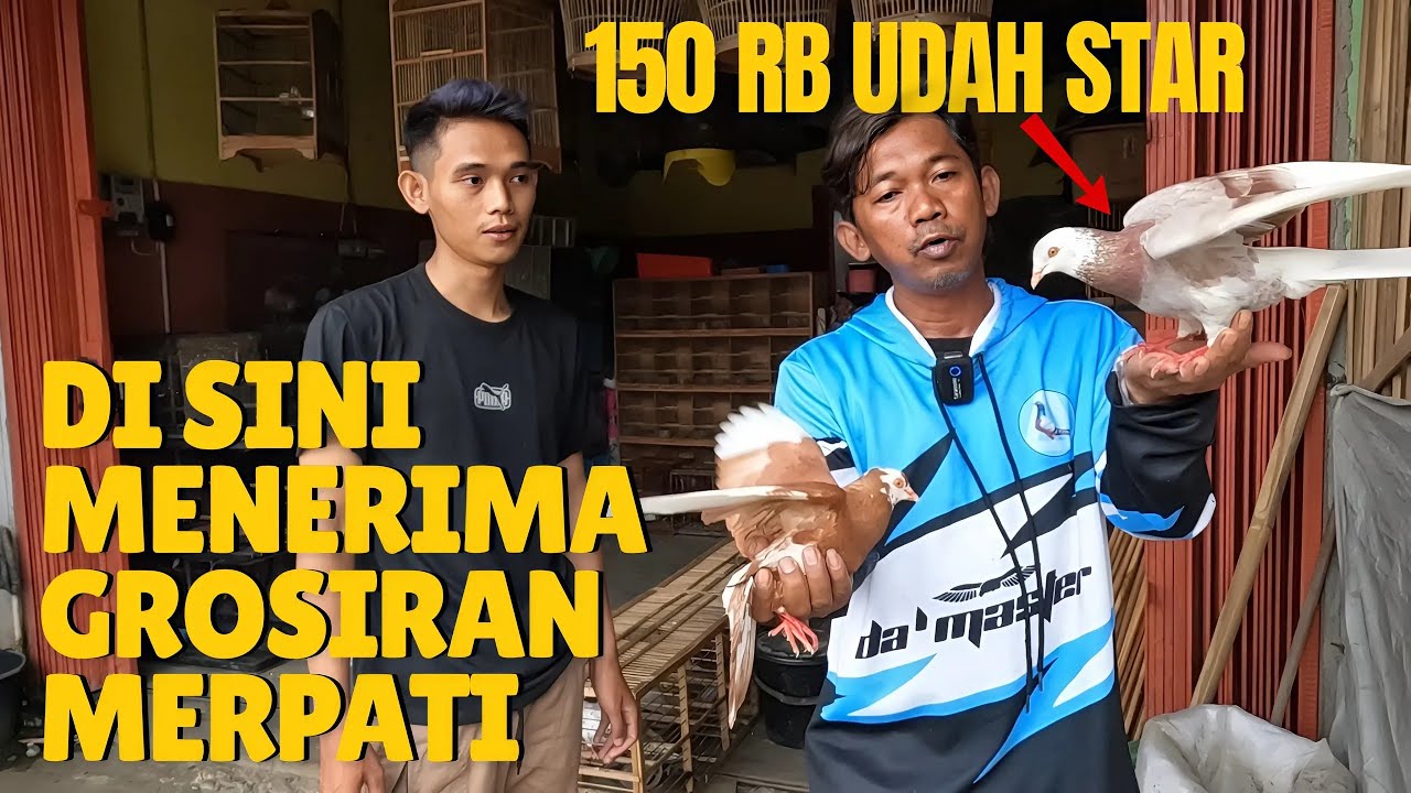 Stok Berlimpah Terima Pesanan Partai Banyak di Kios Anwar Banjarnegara