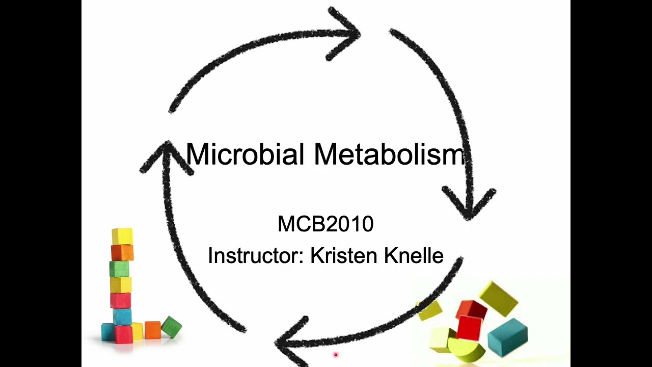 Introduction to Microbiology: Microbial Metabolism