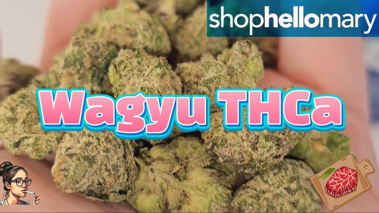 Wagyu THCa | ShopHelloMary