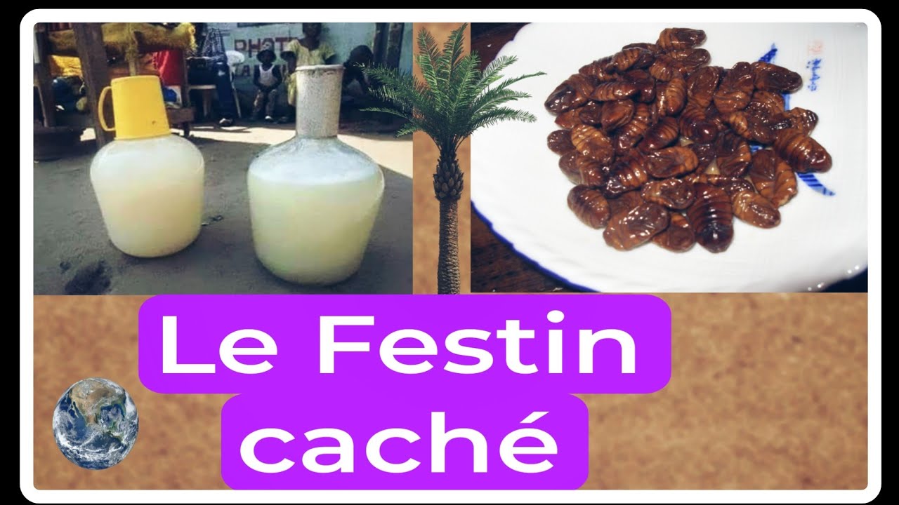 Foss et Matango : Voyage culinaire au cœur du Raphia (Zám) @patijoelle9810 🇨🇲