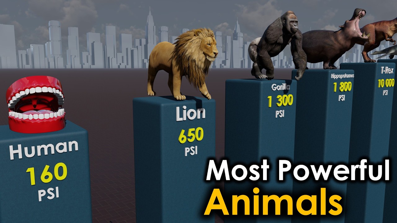 Bite Force: Most Powerful Animals