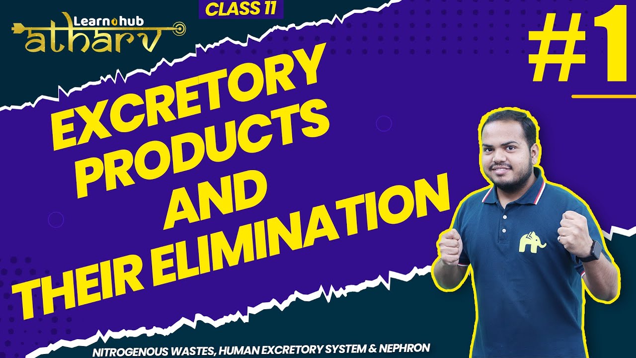 Excretory Products and their Elimination Class 11 Biology NCERT Chapter 15 #1 | Nitrogenous wastes
