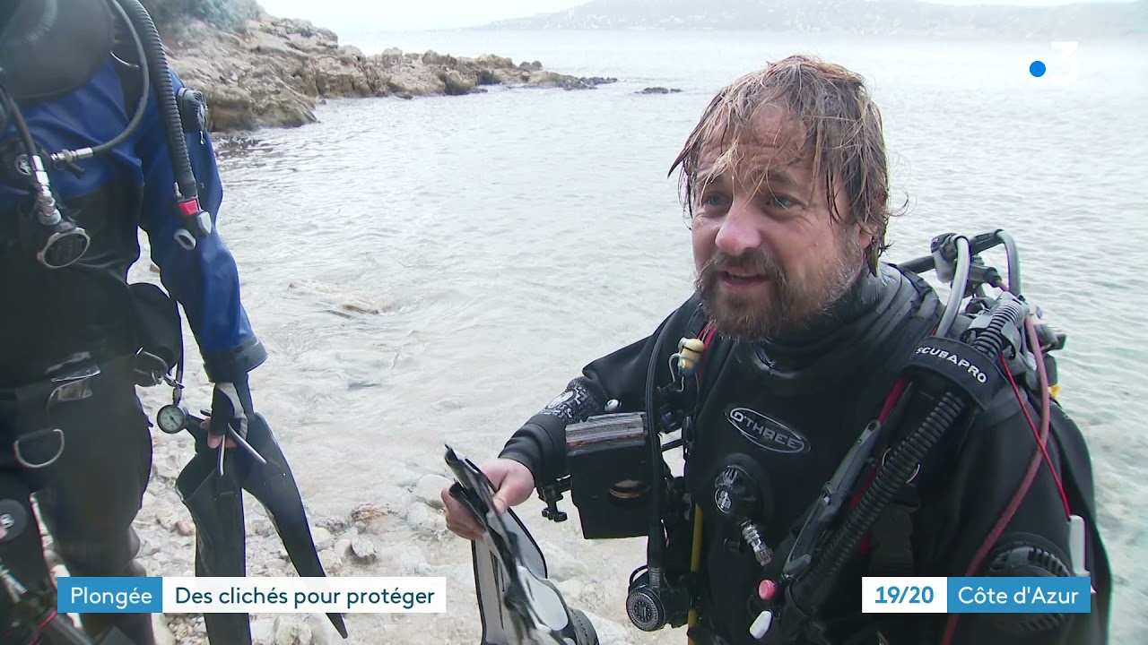 Deux photographes sous-marins d'Antibes et Cannes, subliment leurs rencontres sous l'eau