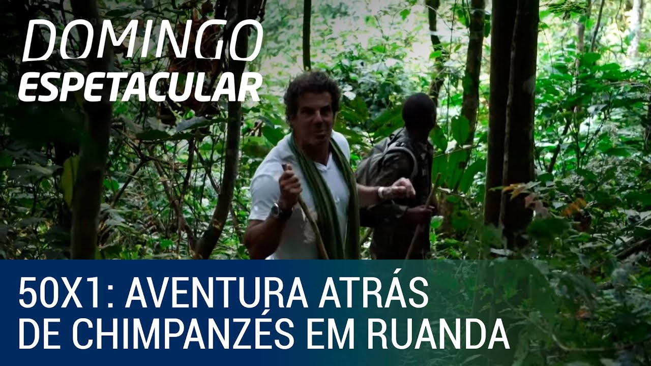 50 por 1: Álvaro Garnero se aventura atrás de chimpanzés em Ruanda