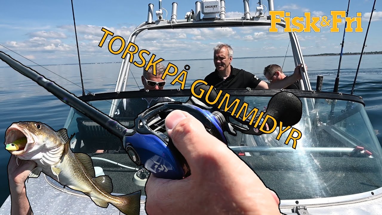 Sådan fanger du torsk på jigs og softbaits