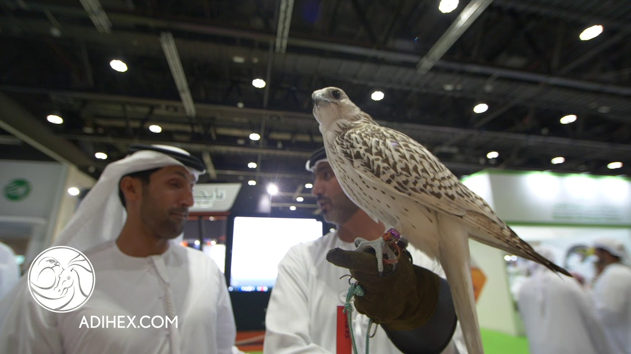 Most awaited sectors at ADIHEX