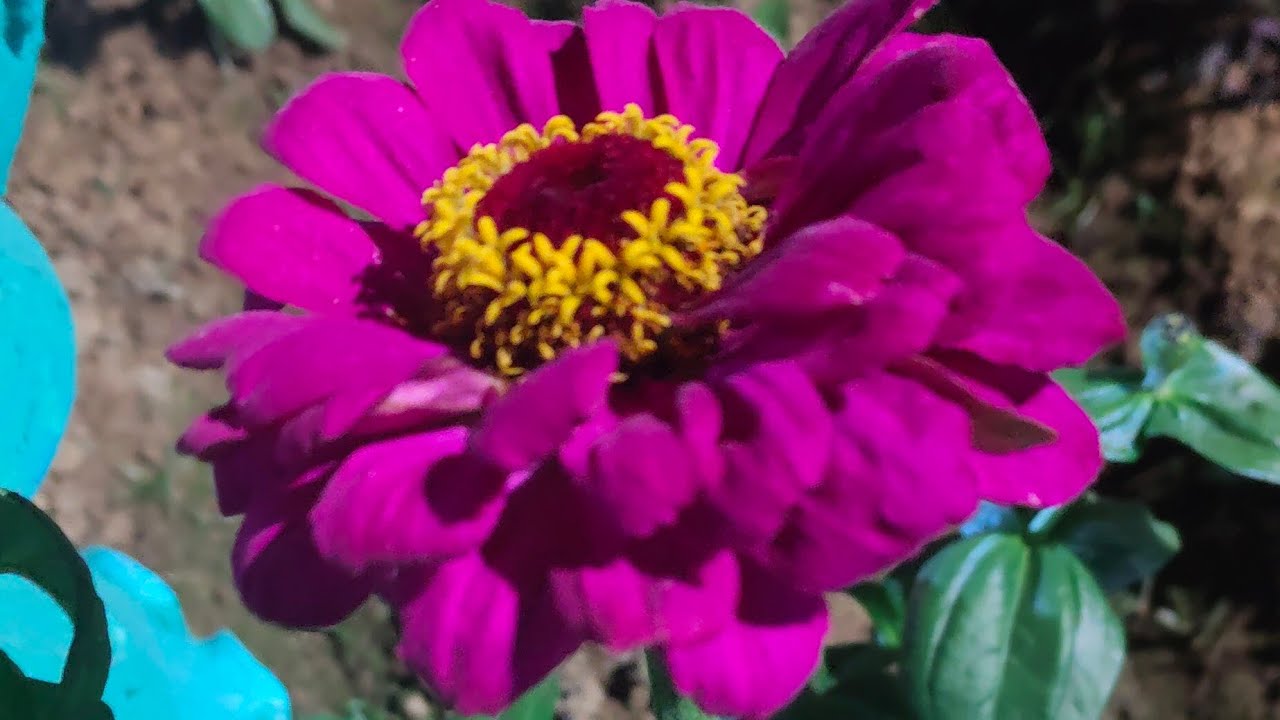 হাই💐