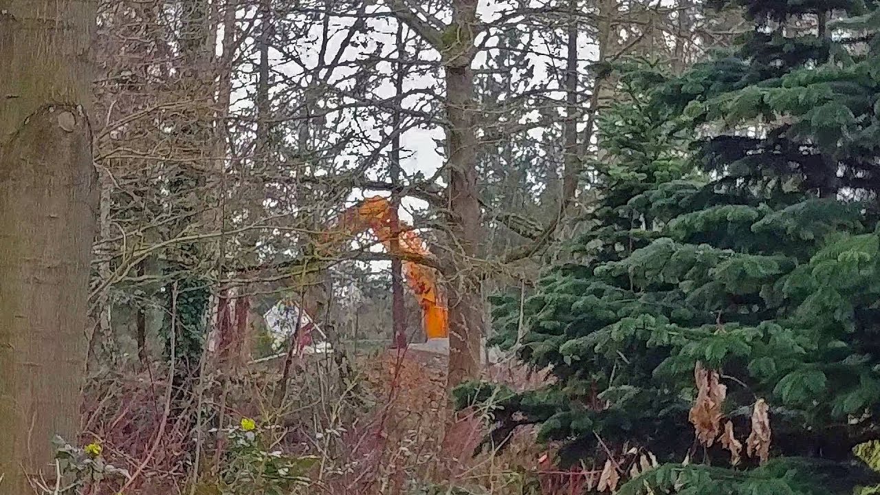 Destruction Chaparral Theater - Disneyland Paris