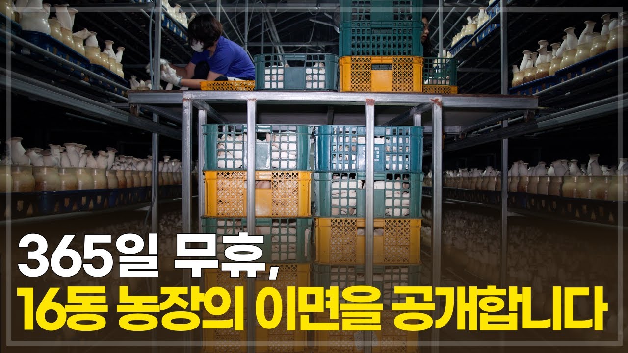 10억 매출, 그러나 수익은 마이너스? 1년 365일 무휴로 돌아가는 그 이유는?