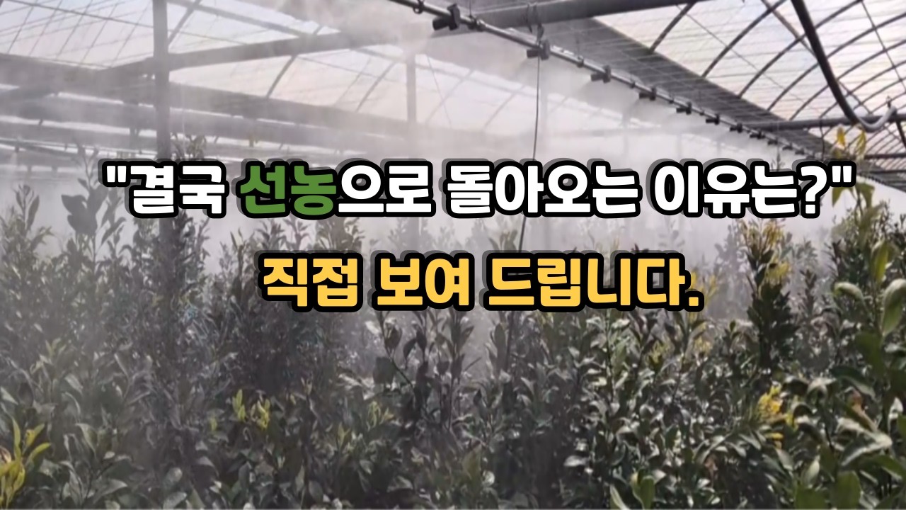[선농] 