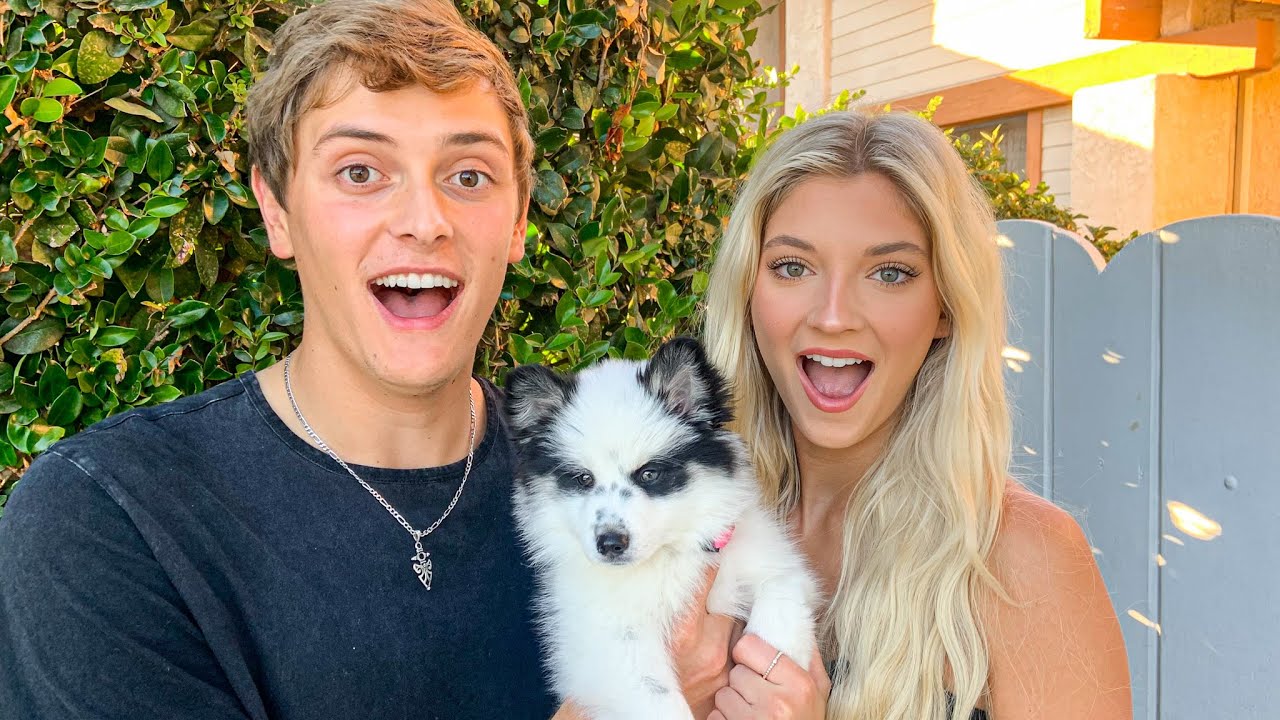 MEET OUR NEW PUPPY!