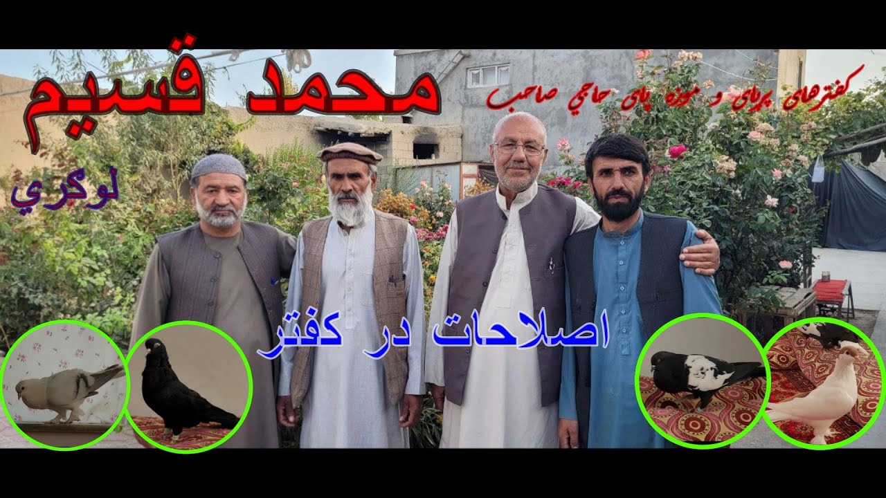 کفترهای پرپای و موزه پای حاجي صاحب محمد قسیم لوګري / Haji Naseem's Fancy Pigeons