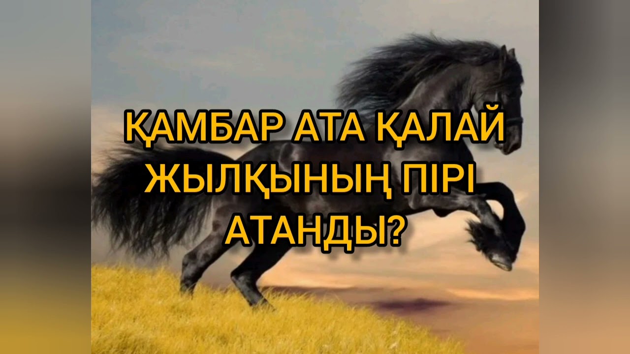 ПАЙҒАМБАР ӨЗІНІҢ ТҰЛПАРЫН ҚАМБАР АТАҒА ҚАЛДЫРҒАН |  ЖЫЛҚЫНЫҢ ПІРІ - ҚАМБАР АТА