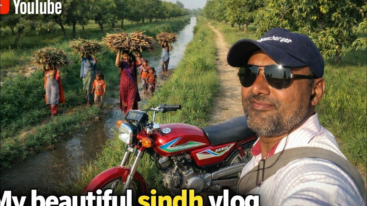 My village beauty juju trees and mango trees Tando qaiser jhan mori bakhsho Laghari my Moto Vlog 