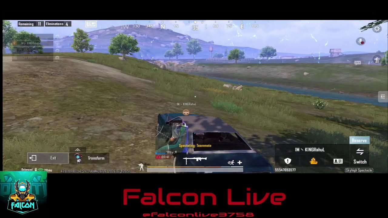 Fall & Wake Up | Always Try | Falcon Live | 136 / 365