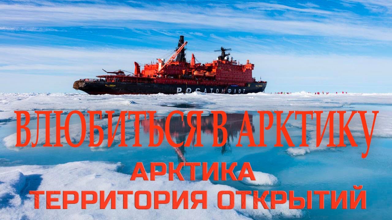 Влюбиться в Арктику 