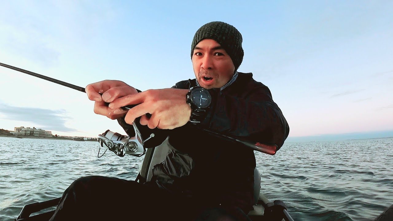 Fishing a little reef and Caught a Whole Family of fish.