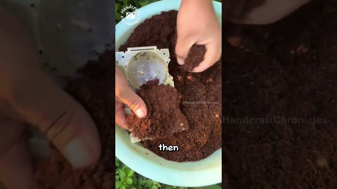 Tree Hack: Growing Roots from a Branch!