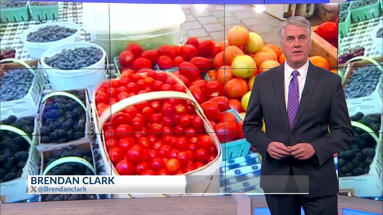 CCSD to introduce Certified SC Cafeteria Program