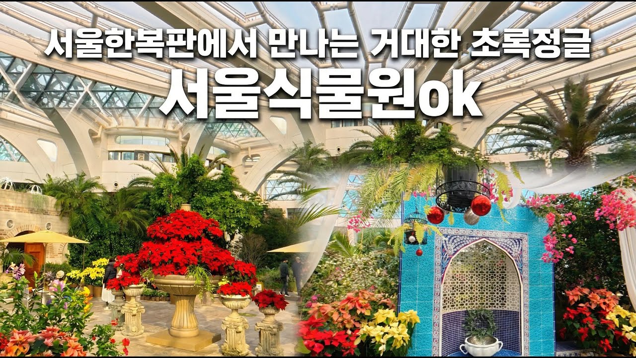 허허로운 마음으로 걷는 도심 속 정글, 서울식물원 열대관