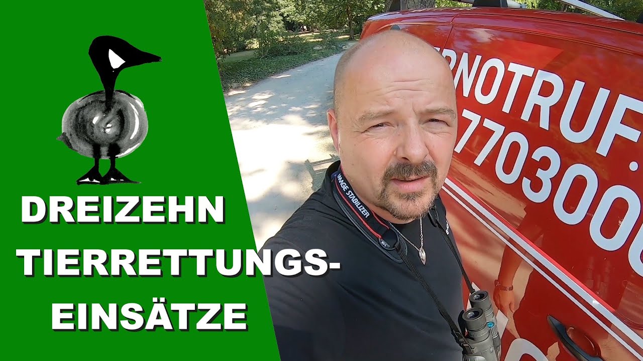 Dreizehn Tierrettungseins&auml;tze - Tiernotruf #275